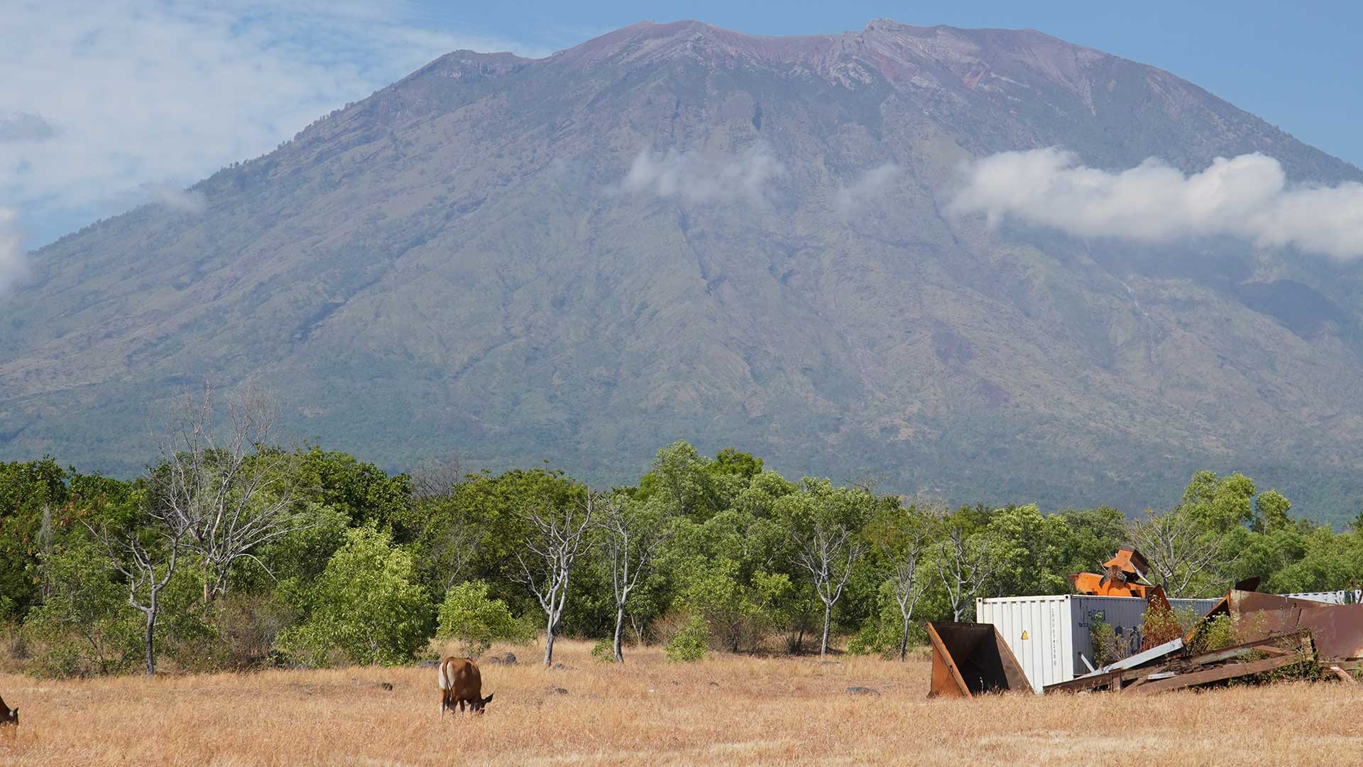 Savana-Nusu-Shoot-by-KALVRI-Digital